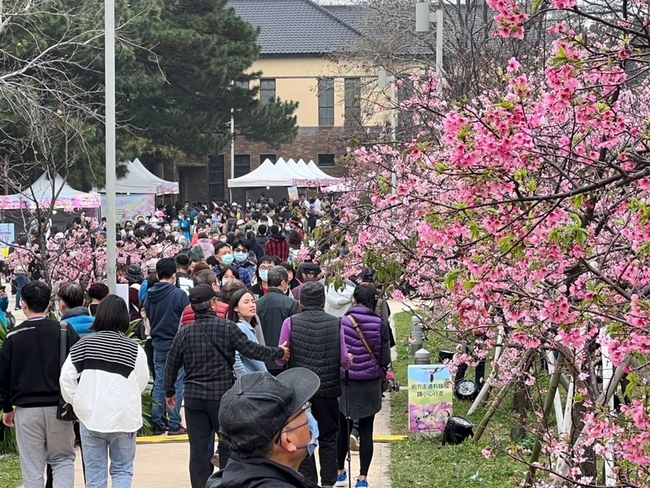 春遊新竹市  櫻花、動物與玻璃工藝一次看 | 華視新聞