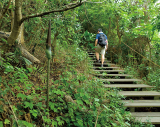 壽山植物多樣性  調查建立步道周邊植物名錄