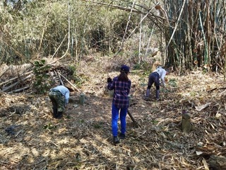 柴山墓葬建築特色  見證高雄歷史發展軌跡