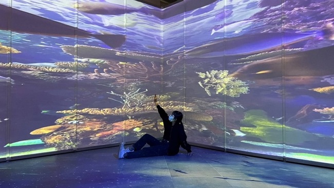 屏東熱博「魚影秘境」海底世界 展示104缸觀賞魚 | 華視新聞