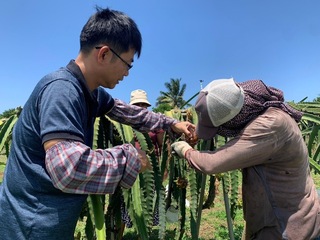 「水果外交」強化台斐關係 智慧農場5月啟用