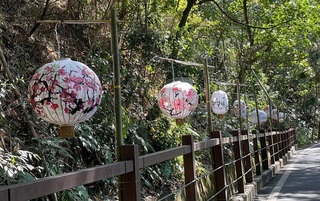 埔里哲學之路森林逐燈祭17日點燈 7燈區繽紛1.5公里