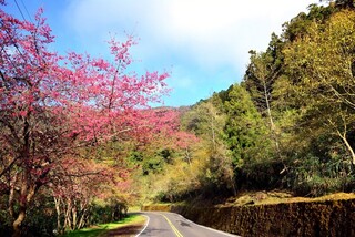 阿里山公路、蘇花路廊及屏鵝公路 獲台灣景觀大獎
