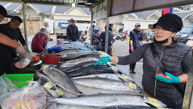 澎湖土魠魚漁獲豐 年後價格降民眾搶便宜 | 華視新聞