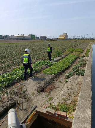 彰化伸港蒜頭產量減半成搶手貨 警啟動護農專案