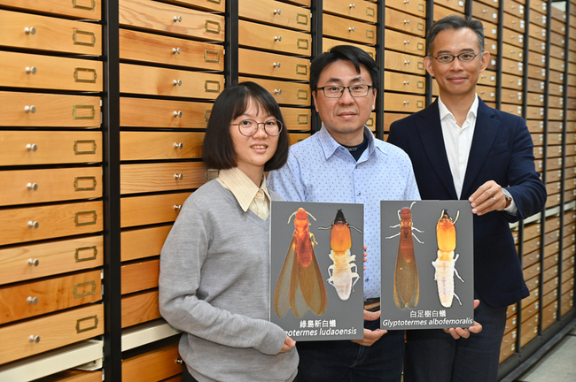 台灣白蟻家族添成員 興大研究團隊發現2新物種 | 華視新聞