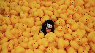 高市「港快跑鴨！」摸彩活動  上萬小小鴨漂流競速