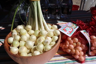 花蓮月眉原民特色作物火蔥 保種收成筷閃分享家鄉味