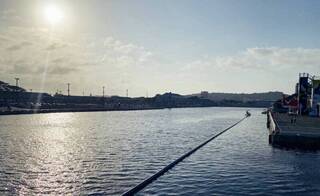 高雄元宵賞1.5萬隻小鴨漂漂河 大港橋觀賞最佳