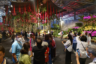 台灣蘭展開幕 賴清德盼蘭花成台灣識別標誌