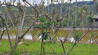 台東2歲女童陳屍水池疑點多 檢方將解剖釐清