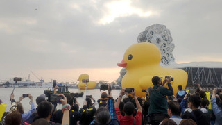黃色小鴨遊港揮別高雄 民眾不捨喊希望下次再來