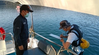 日月潭立式划槳玩家闖九蛙疊像水域賞蛙 最重罰5萬