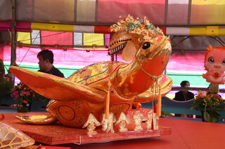 澎湖元宵乞龜 最大金龜得主出爐