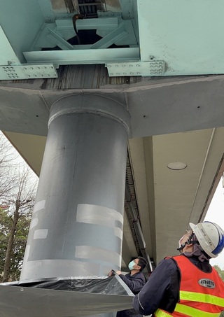 白鼻心闖捷運軌道 北市動保處吹箭麻醉救出