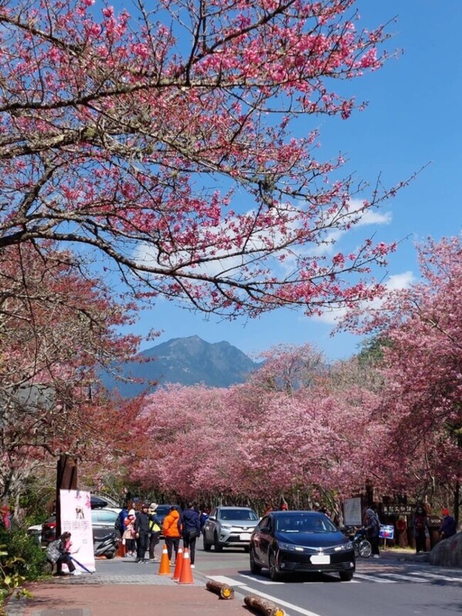 櫻花季申請登雪霸 10隊突變更行程恐遭禁入園3年 | 華視新聞