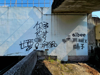 花蓮市三仙溪抽水站遭塗鴉不雅圖文 警揪犯嫌