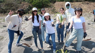 植樹固碳  韓國美妝品牌連8年台東種樹