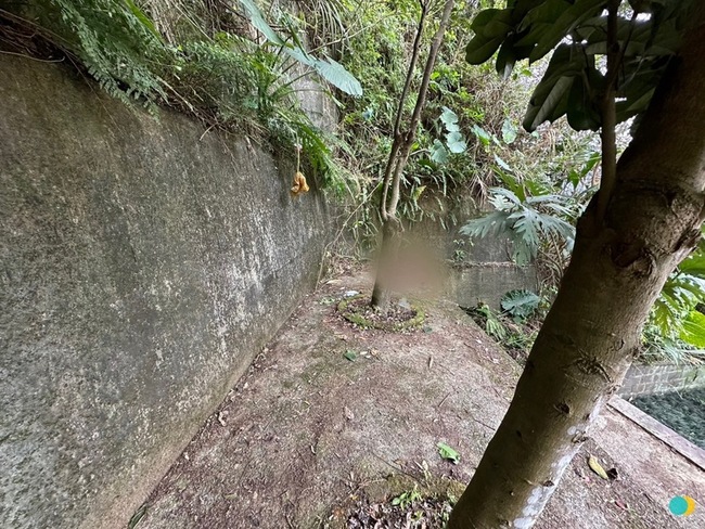 新北三峽男子上山掃墓  疑失足墜落山坡送醫不治 | 華視新聞