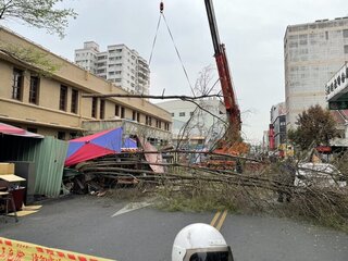 嘉市文化路郵局老樹倒伏無人傷  觀光夜市封路