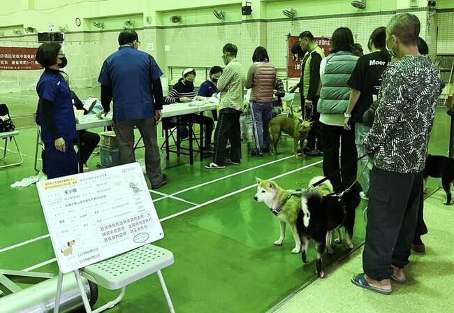 高市偏鄉巡迴犬貓絕育列車啟動 家樂福辦13場認養會 | 華視新聞