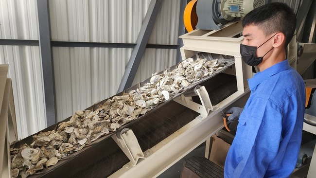 解決廢棄牡蠣殼 澎湖啟動循環經濟再利用 | 華視新聞