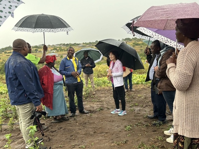 農業部攜手友邦史瓦帝尼 保種非洲蔬菜深化互動 | 華視新聞