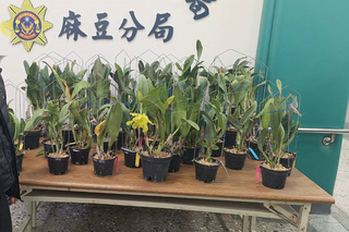 麻豆區蘭園被偷損失近百萬 竊嫌竟是住宜蘭多年熟客