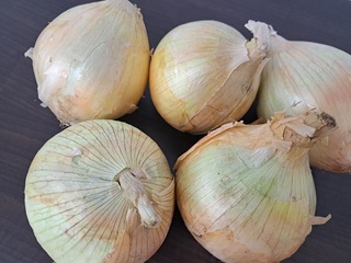 蔬菜皇后洋蔥營養高  國產鮮甜上市正當季