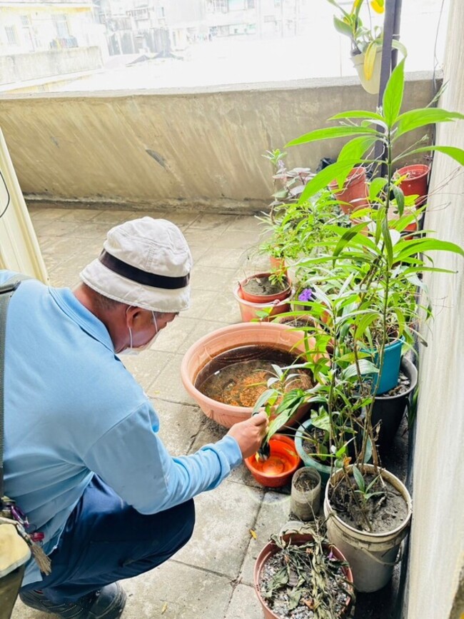 境外移入風險倍增 高市前鎮區竹內里登革熱現蹤 | 華視新聞