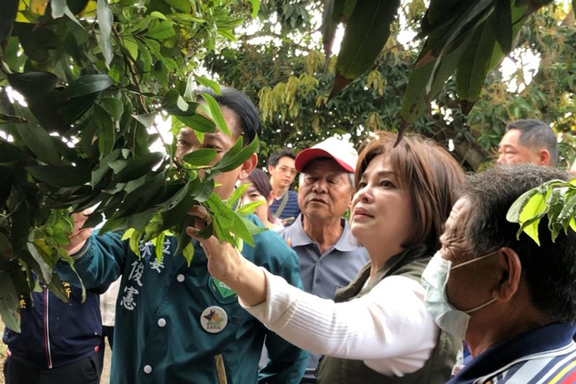 台南東山龍眼不開花 立委爭取天然災害救助 | 華視新聞