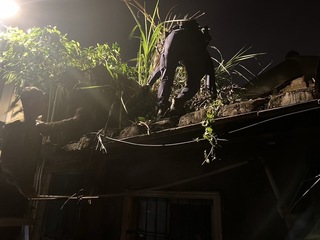 男子畏罪將毒品丟屋瓦 三峽警成蜘蛛人爬屋頂查獲