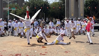 台南蚵寮角白鶴陣開館操練 百歲人瑞大展身手