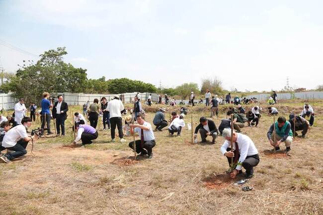 童綜合醫院植樹近1公頃 可望吸收327公噸二氧化碳 | 華視新聞