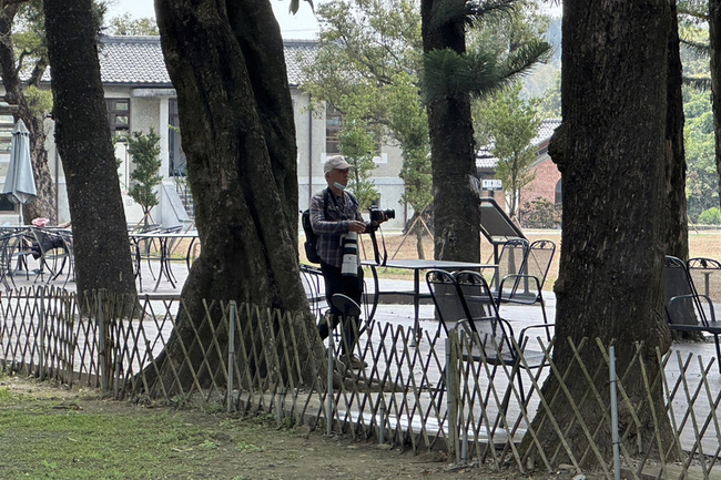 台南水道博物館朱鸝現蹤 鳥友整天守候搜尋倩影 | 華視新聞