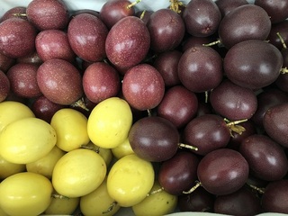 挑百香果3訣竅 有重感、內容物不晃動、果梗淺褐色