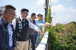 台南芒果花況不佳 立委盼農政單位及早因應
