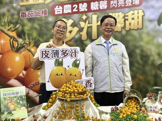 玉女小番茄居后座20幾年  糖馨嫩甜來勢洶洶