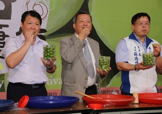 不受減產影響  南投梅子節3/30信義鄉起跑