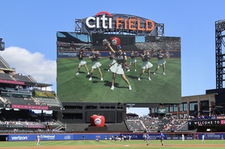 大聯盟最老牌  紐約大都會台灣日恐停辦