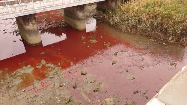 台中清水大排河水染紅 鄰近溝渠遭棄置紅色水性漆 | 華視新聞