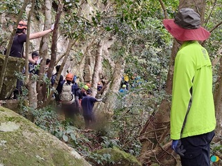 男三峽登山失聯 警消循狗吠聲找到遺體愛犬相伴多日