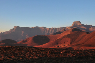 成大研究：全球17山區高「氣候速度」威脅生物多樣