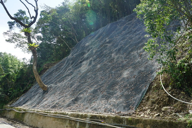 花蓮吉安步道群邊坡坍塌 掛網護坡工法恢復草木綠意 | 華視新聞