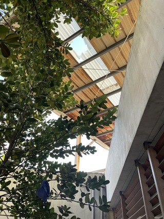 高雄殯儀館工安意外 陳其邁：殯葬處未依規辦理