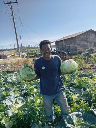 印尼農民栽培台灣品種甘藍菜 感謝技術團打造新墾區