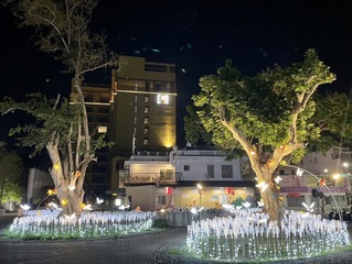 台東鐵花新聚落嶄新風貌 燈之祭4/4點燈