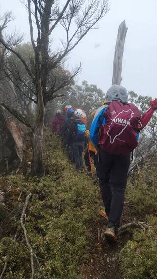 攀登六順山脫隊失聯女山友 躲樹洞只喝水捱過5天