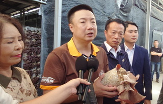 寶林茶室食安風暴 嘉義黑木耳受無妄之災出貨停擺