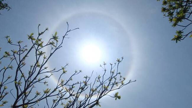 台東上空出現日暈 氣象站：高空水氣豐沛 | 華視新聞